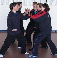 Tai Chi workshop in Melbouren Sept 2004