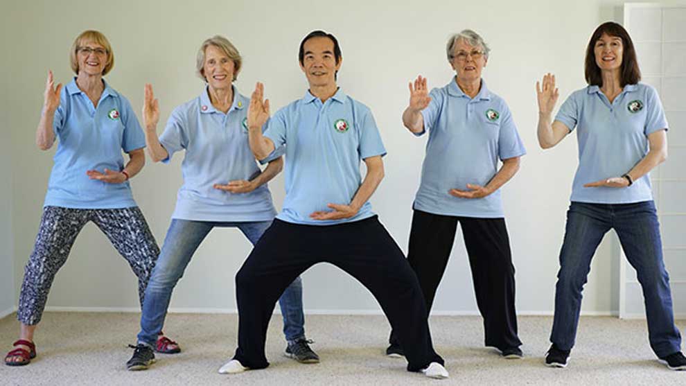 Home Tai Chi for Health Institute